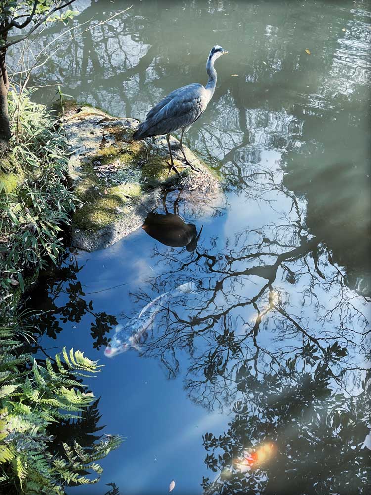根津美術館の庭園にて
