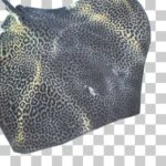 ヒョウ柄を持つヒョウガラオトメエイ