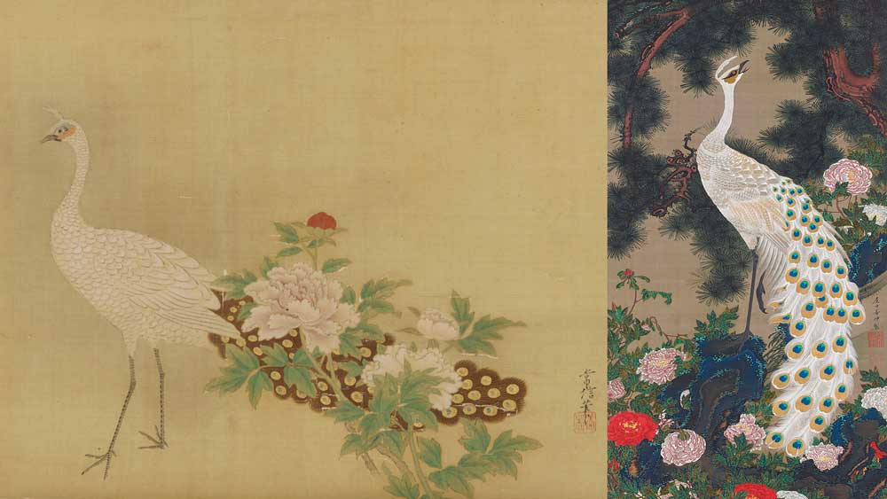 狩野常信と伊藤若冲の作品における白孔雀