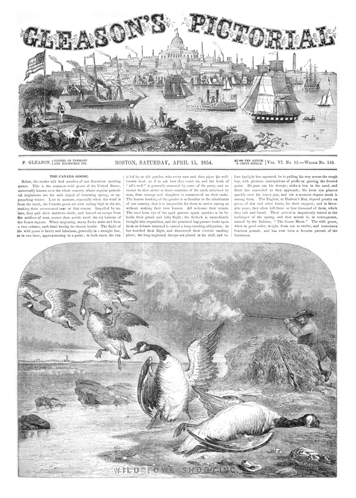 1854年発行のGleason's Pictorial Drawing-Room Companionの記事より